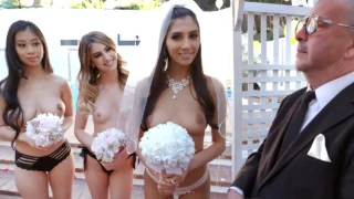 Mi bella novia me dejó follarla a ella y a sus damas de honor en nuestra noche de bodas