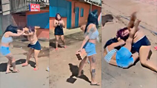 Dos perras se pelean muy fuerte por el guebo de un hombre