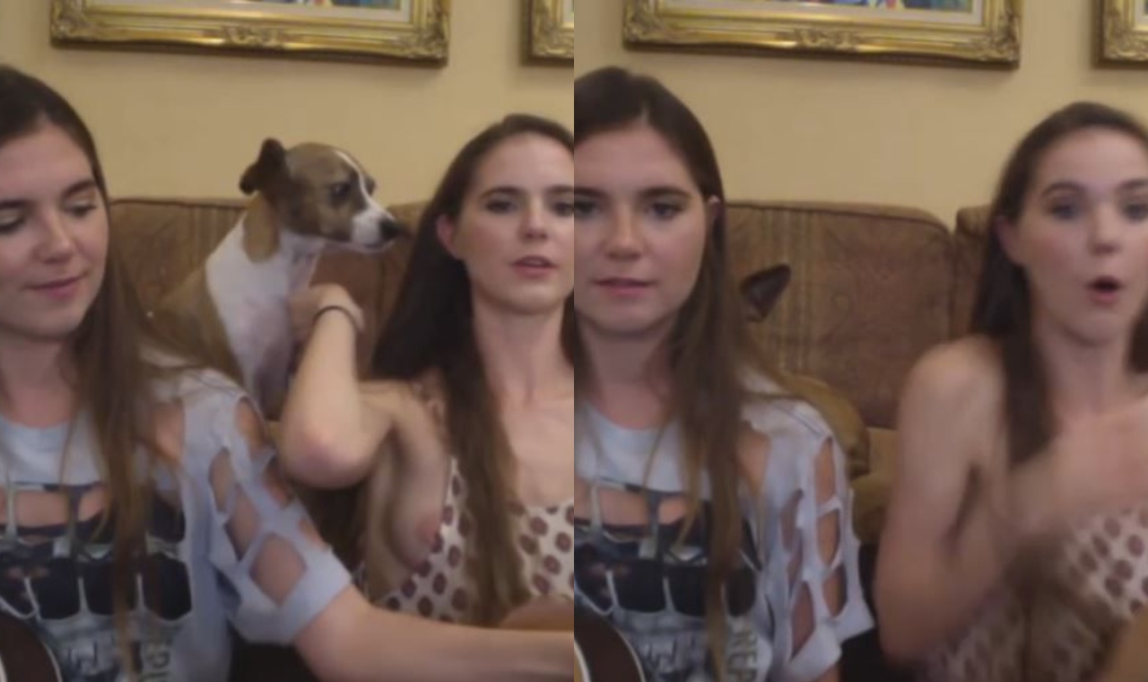 Nina Nelson Nipple Slip YouTube Stream en vivo